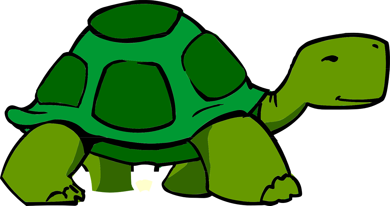 turtle-303732_1280